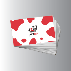 PRINT NIU Print Name Card, Mirror Coat Stickers, Flyers, Bill Books & More