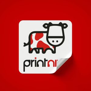 PRINT NIU Print Name Card, Mirror Coat Stickers, Flyers, Bill Books & More