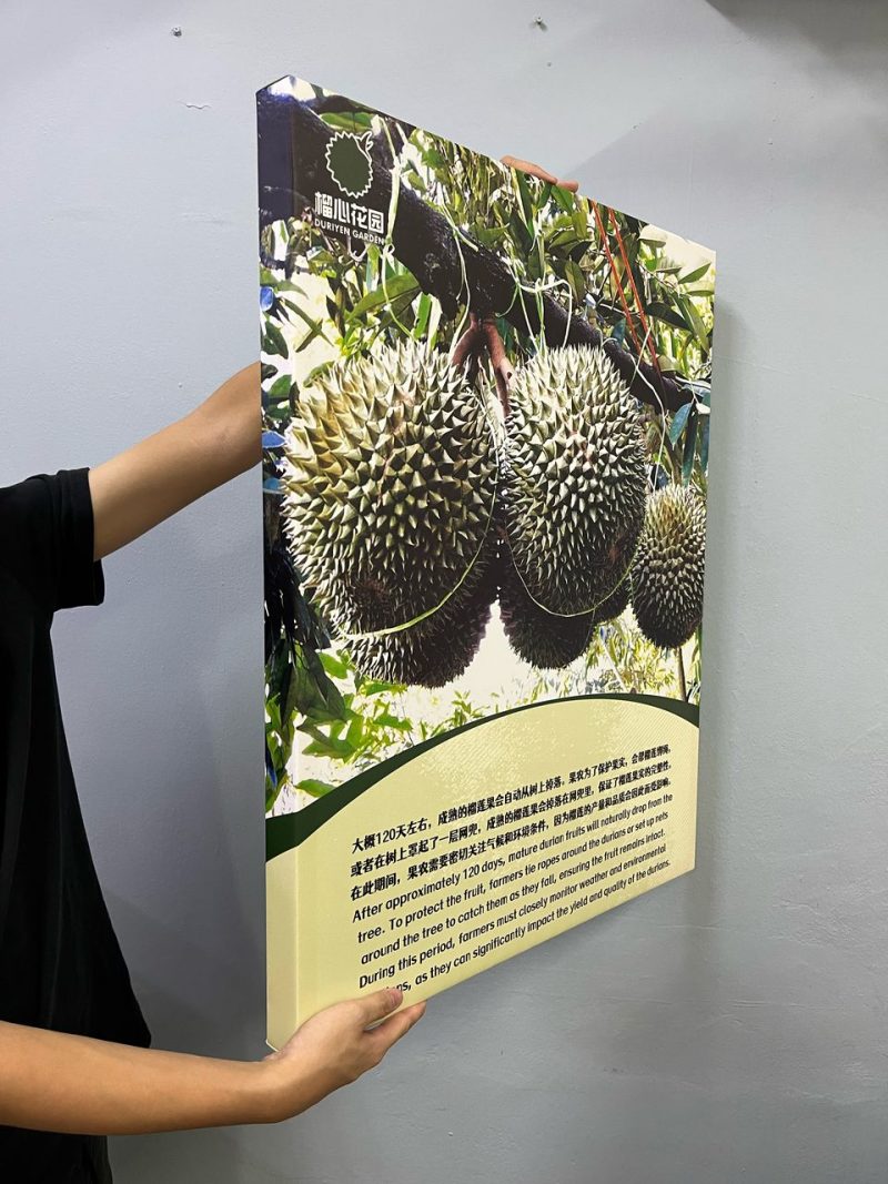 Canvas Framed Poster - Image 5