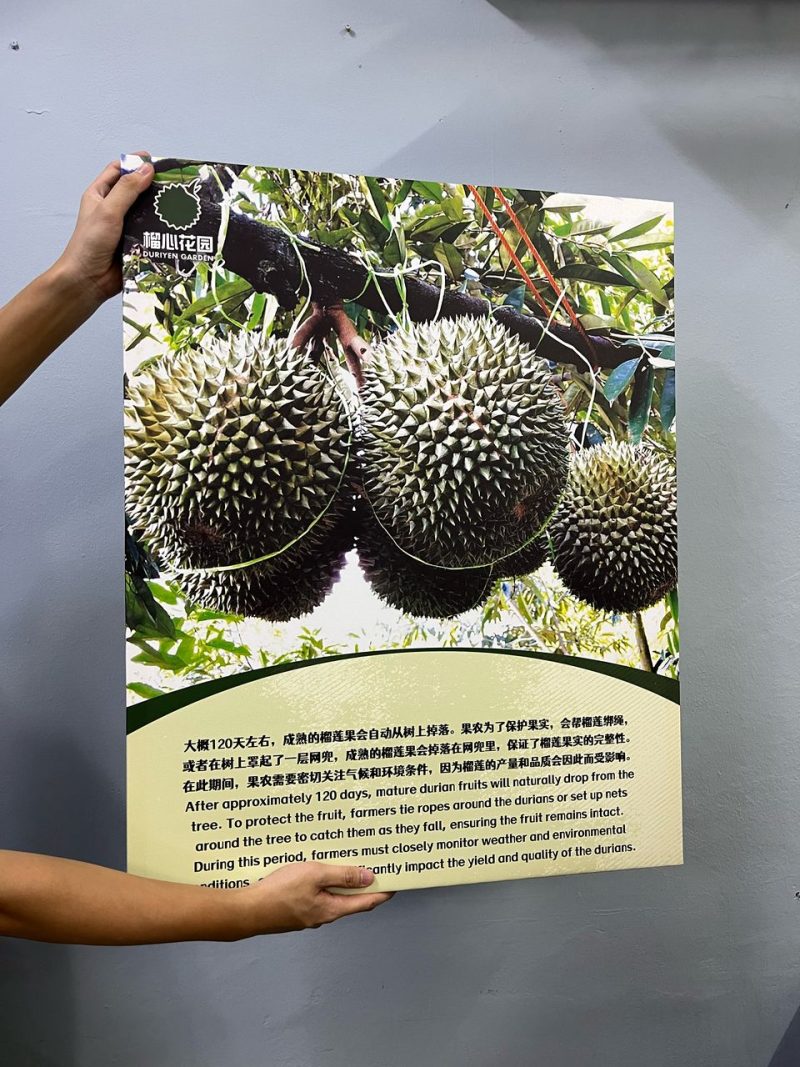 Canvas Framed Poster - Image 6
